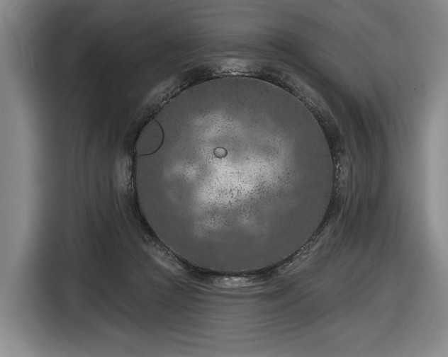 X0000116510361200912161343