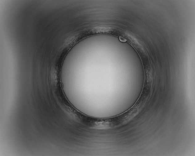 X0000116510362200912161343