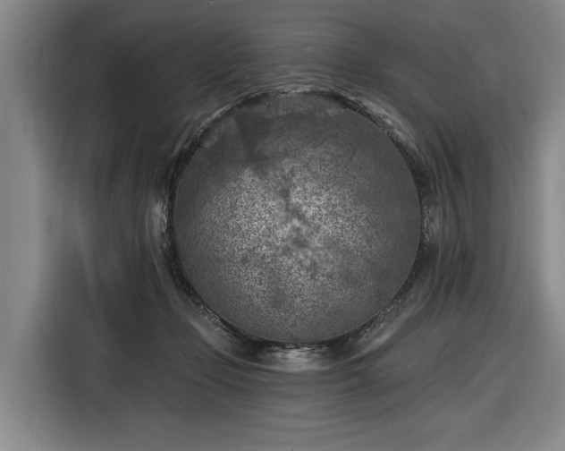 X0000116510365200912161343