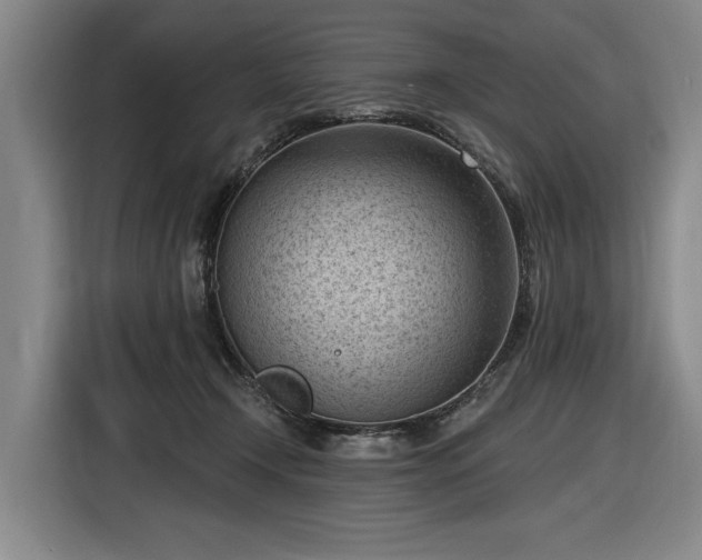 X0000116510366200912161343