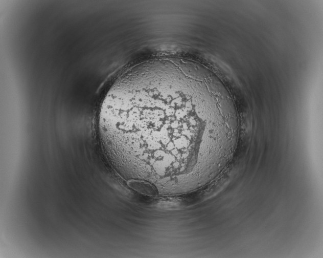 X0000116510369200912161343