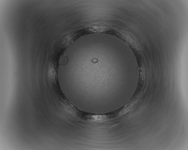 X0000116510371200912161343