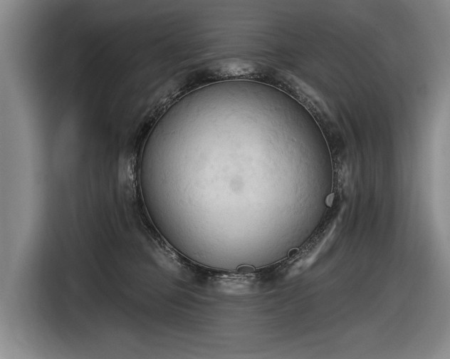 X0000116510373200912161343