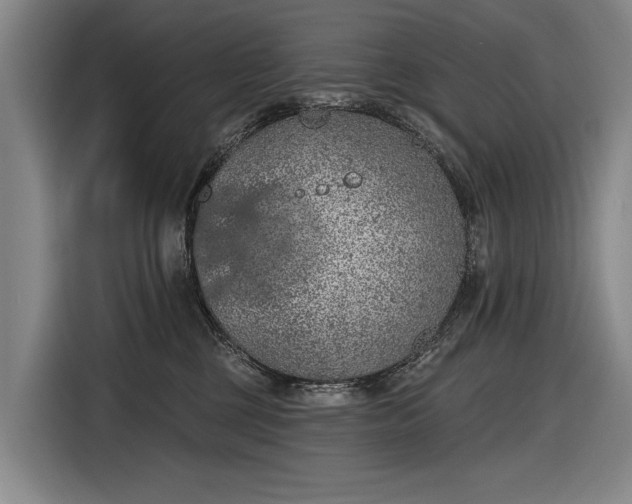 X0000116510377200912161343