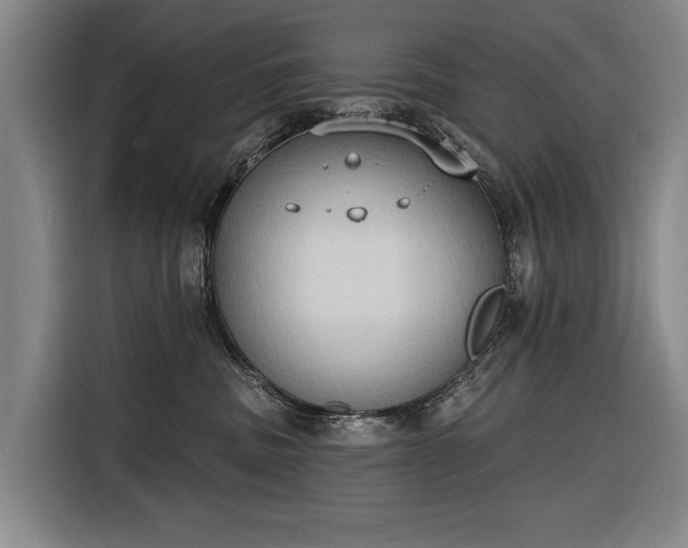 X0000116510379200912161343