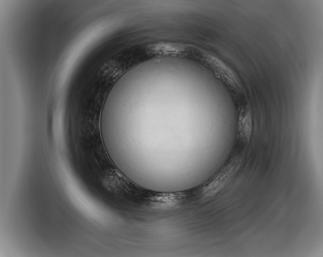 X0000116510381200912161343