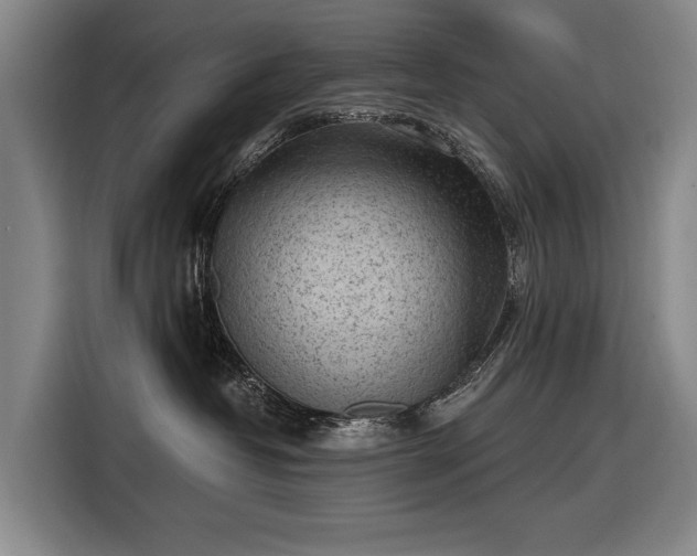 X0000116510382200912161343