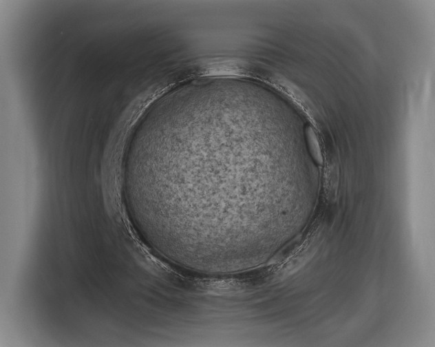 X0000116510385200912161343