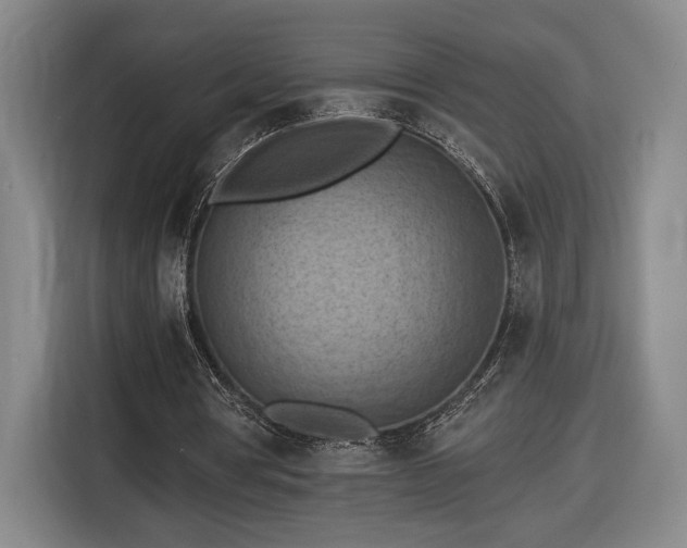 X0000116510386200912161343