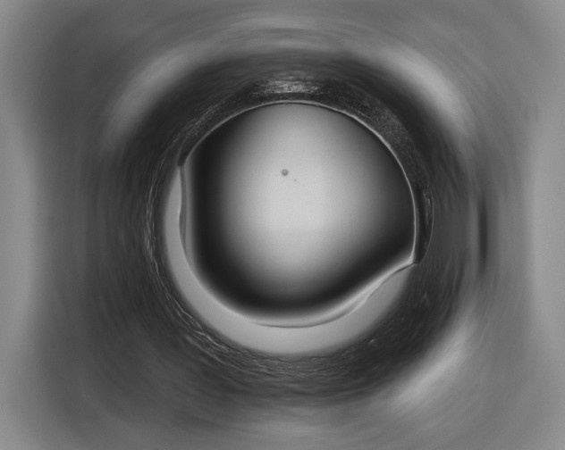 X0000116510387200912161343