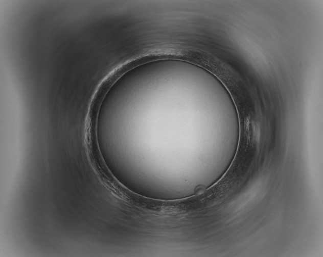 X0000116510388200912161343