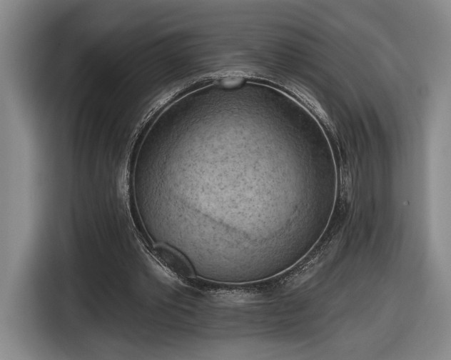 X0000116510389200912161343