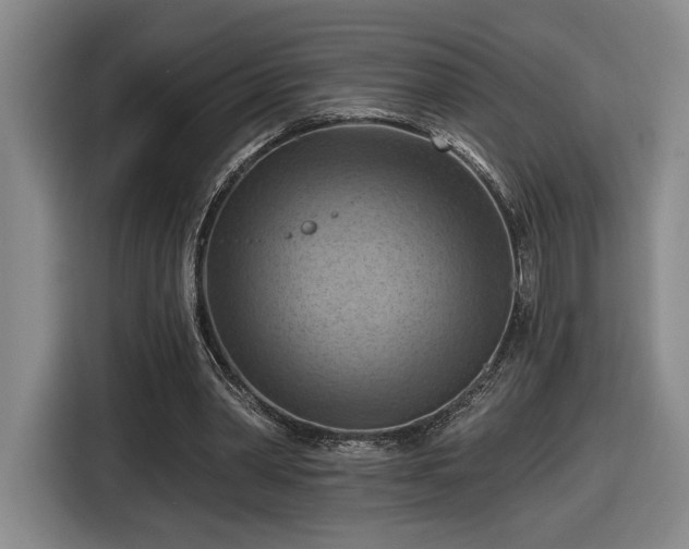 X0000116510390200912161343