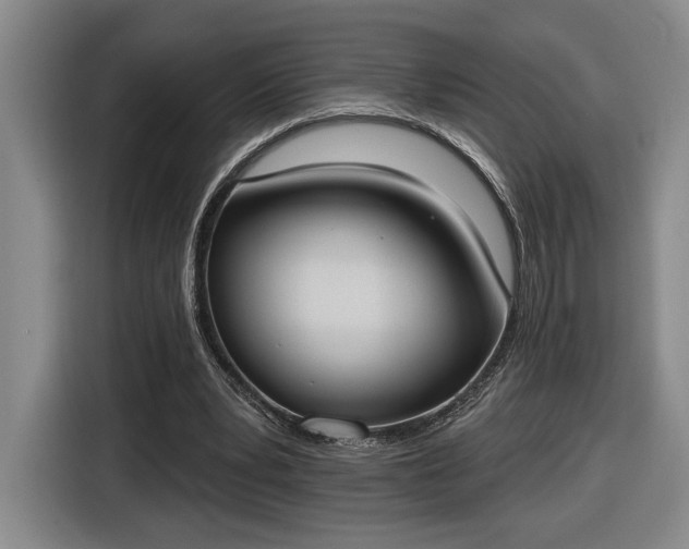 X0000116510391200912161343