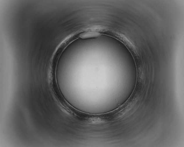 X0000116510392200912161343