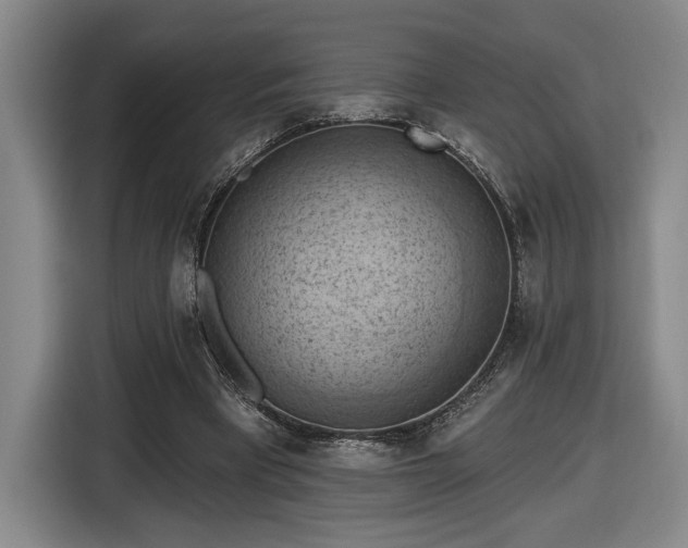 X0000116510393200912161343