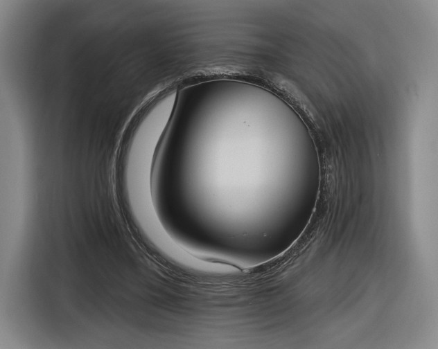 X0000116510395200912161343