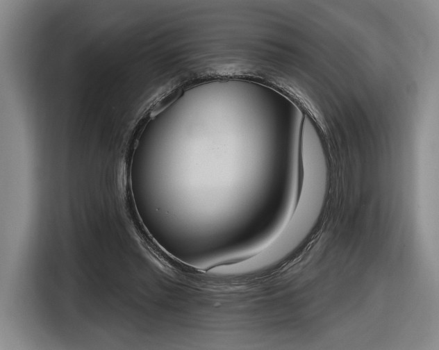 X0000116510397200912161343