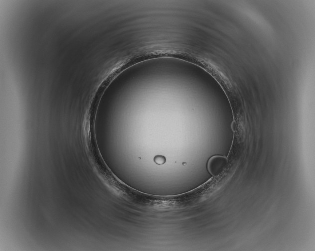 X0000116510398200912161343