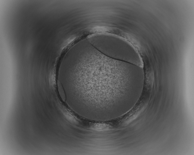 X0000116510399200912161343