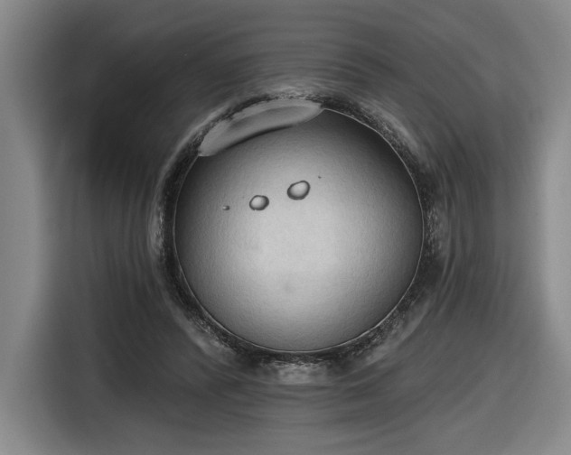 X0000116510400200912161343