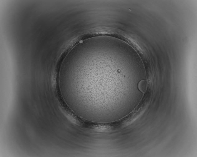 X0000116510402200912161343