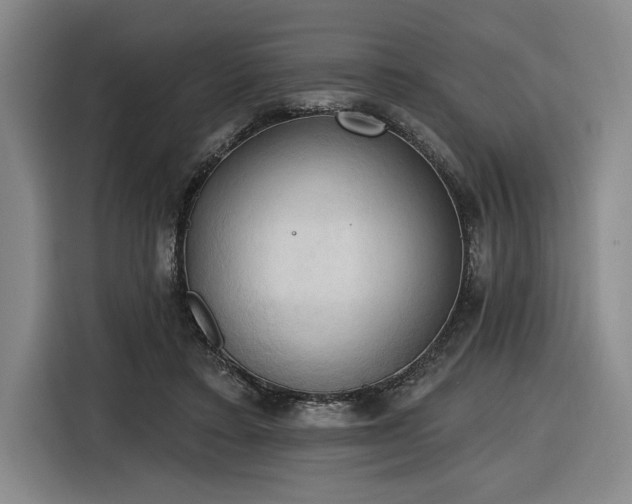 X0000116510403200912161343