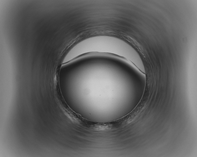 X0000116510405200912161343