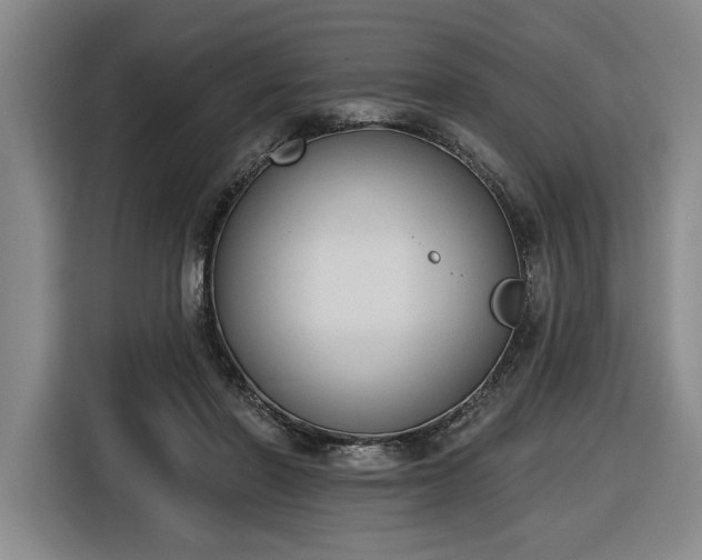 X0000116510406200912161343