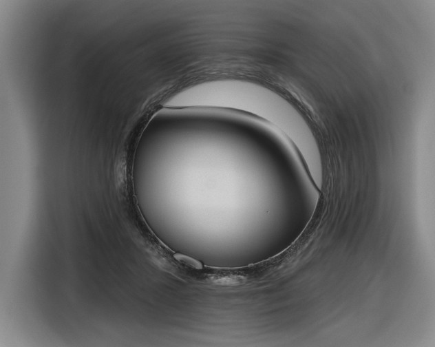 X0000116510407200912161343