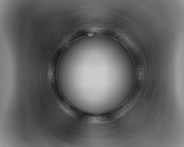 X0000116510408200912161343