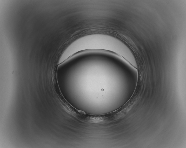 X0000116510409200912161343