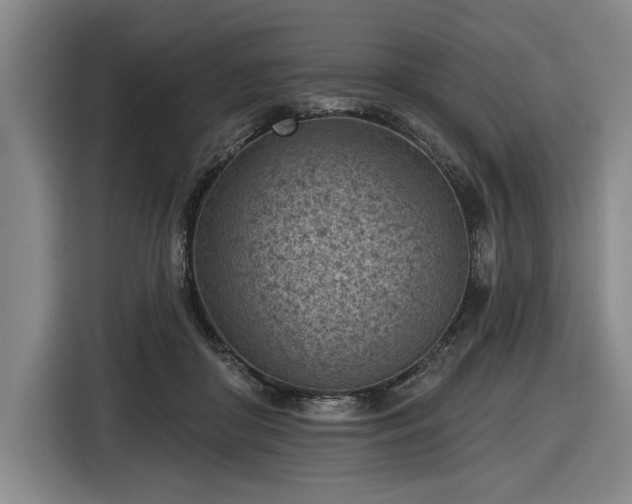 X0000116510410200912161342