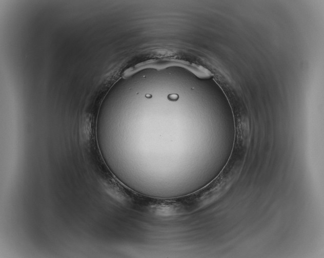 X0000116510412200912161342