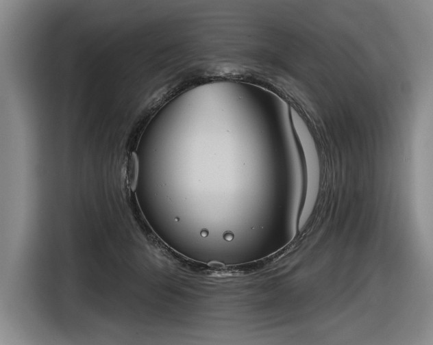 X0000116510415200912161342