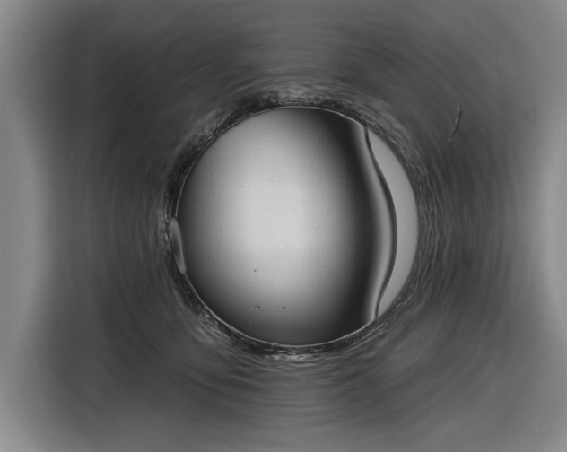 X0000116510419200912161342