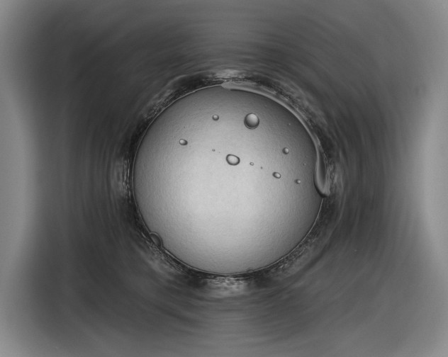 X0000116510421200912161342