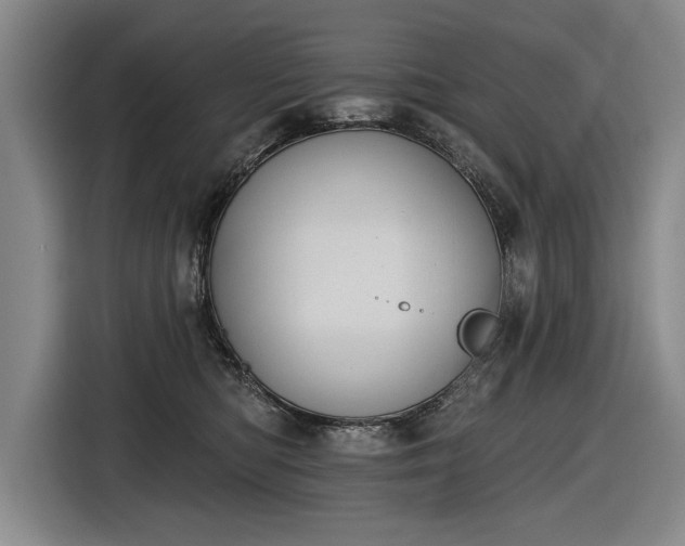 X0000116510422200912161342