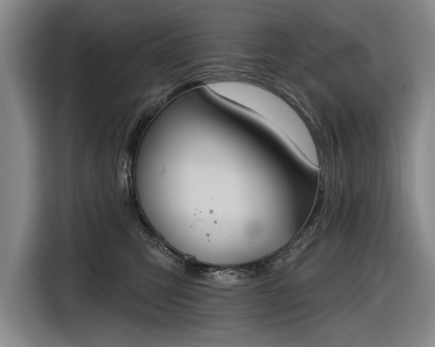 X0000116510423200912161342