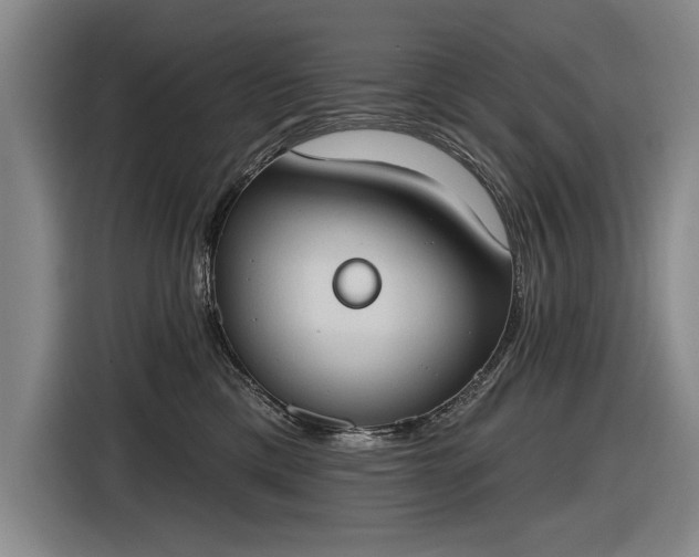 X0000116510425200912161342