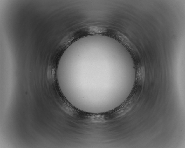 X0000116510426200912161342