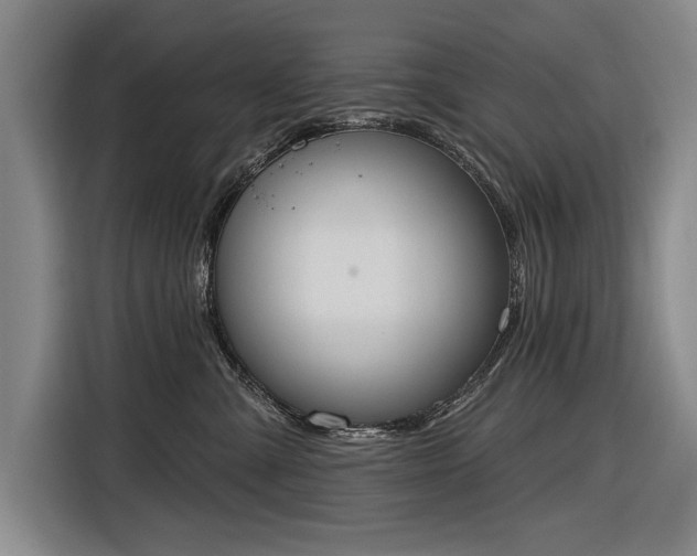 X0000116510427200912161342