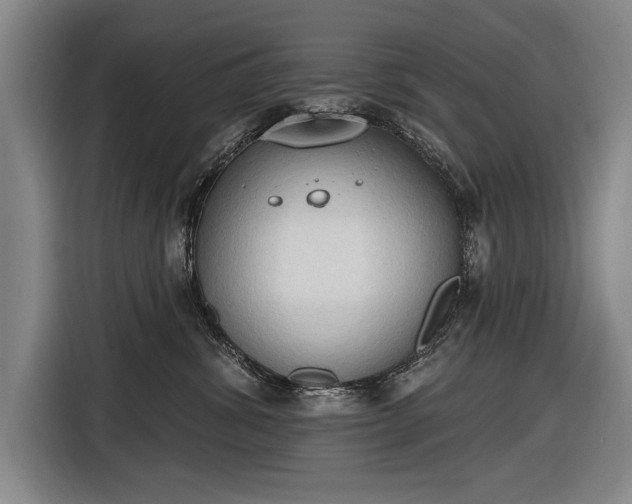 X0000116510428200912161342