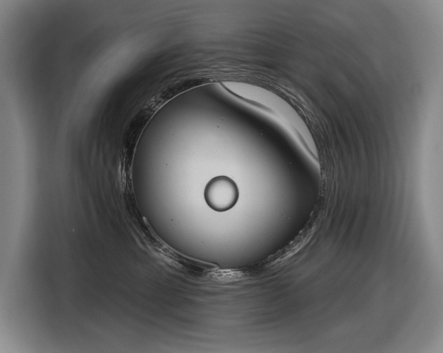 X0000116510429200912161342