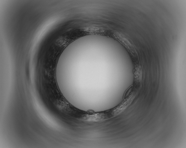 X0000116510430200912161342