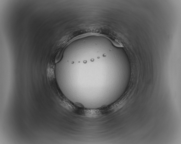 X0000116510432200912161342