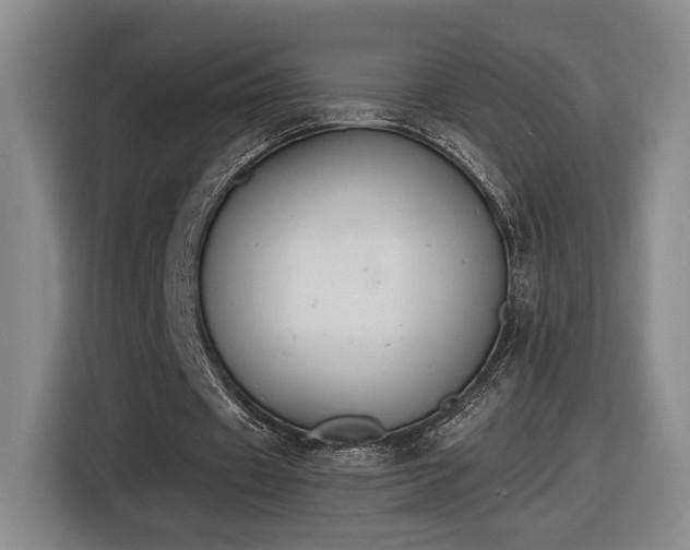 X0000116510433200912161342