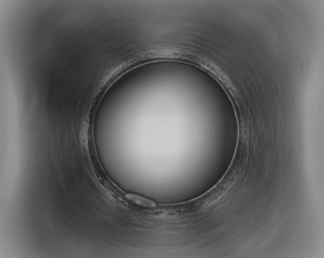 X0000116510434200912161342