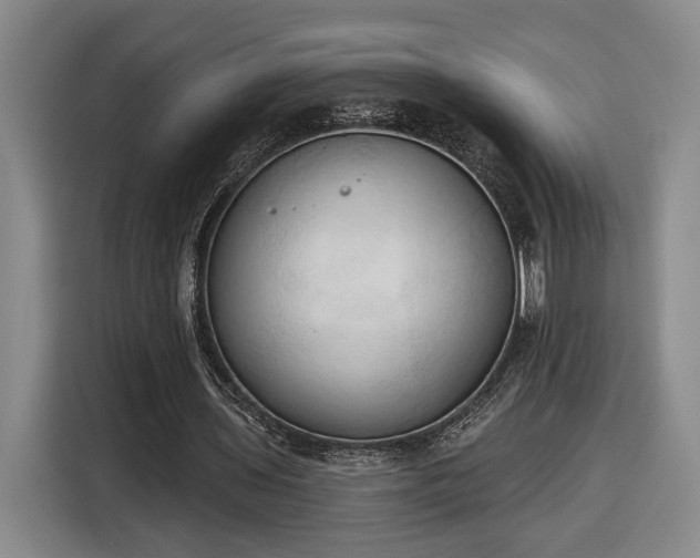 X0000116510435200912161342