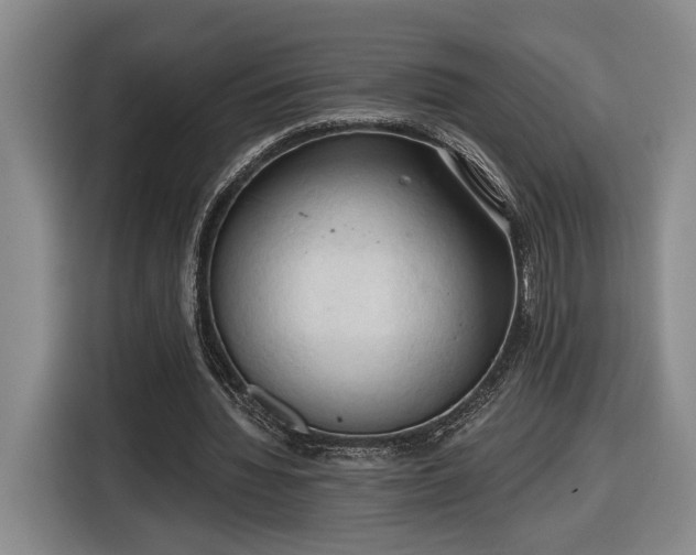 X0000116510436200912161342